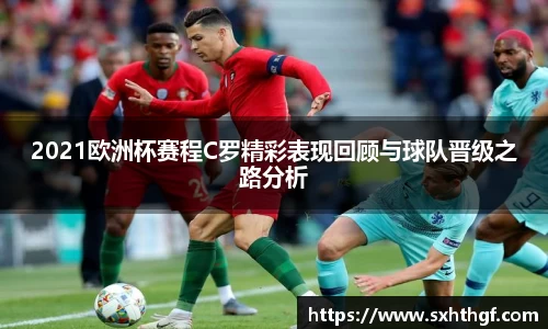 星空综合股份(中国)